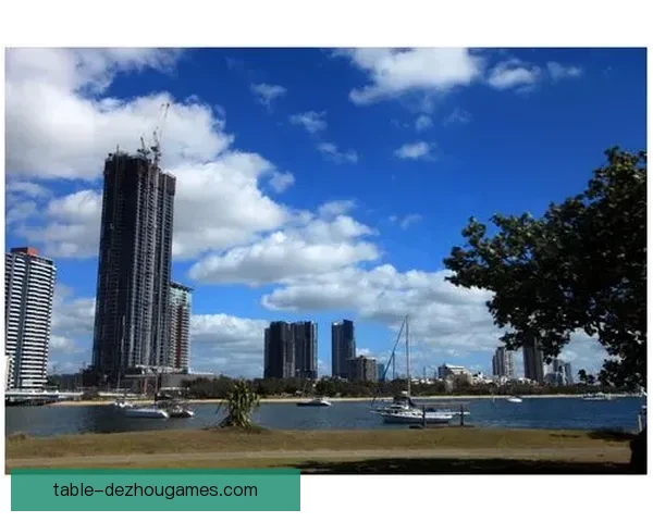 布里斯班奥林匹克以1比0战胜黄金海岸骑士成功晋级下一轮